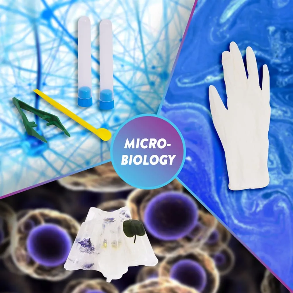 Popular Science Microbiology Lab